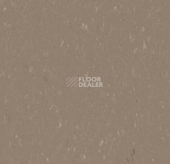 Линолеум Forbo Marmoleum Solid Piano 3631-363135 otter фото 1 | FLOORDEALER